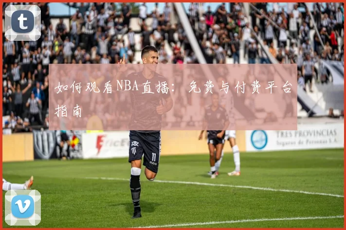 如何观看NBA直播：免费与付费平台指南