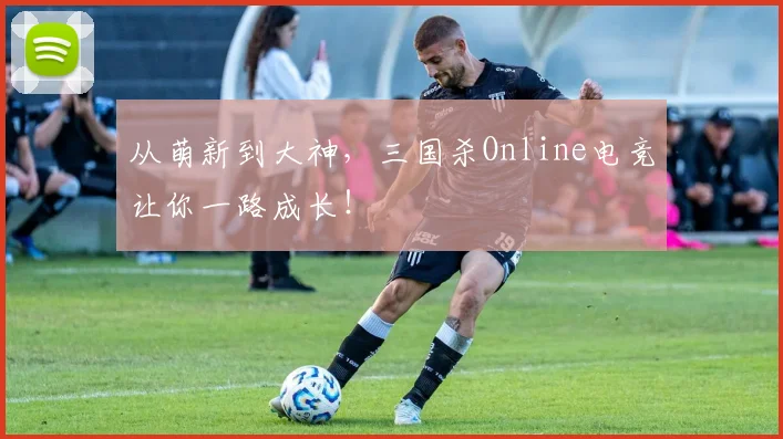 从萌新到大神,三国杀Online电竞让你一路成长!