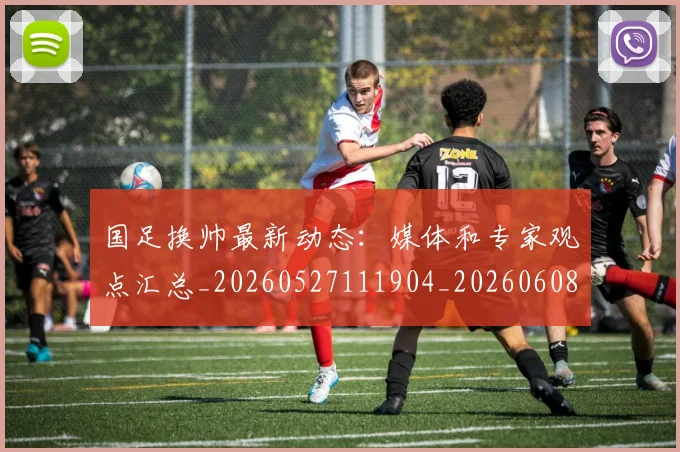 国足换帅最新动态:媒体和专家观点汇总_20260527111904_20260608142926
